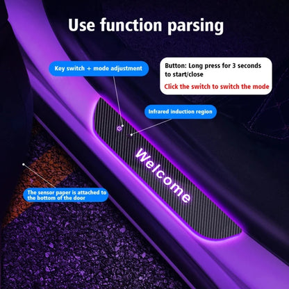 LED Car Doors Lights.